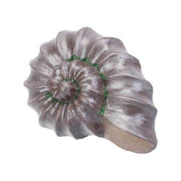 Møbelknop 'Kid Line' Shell